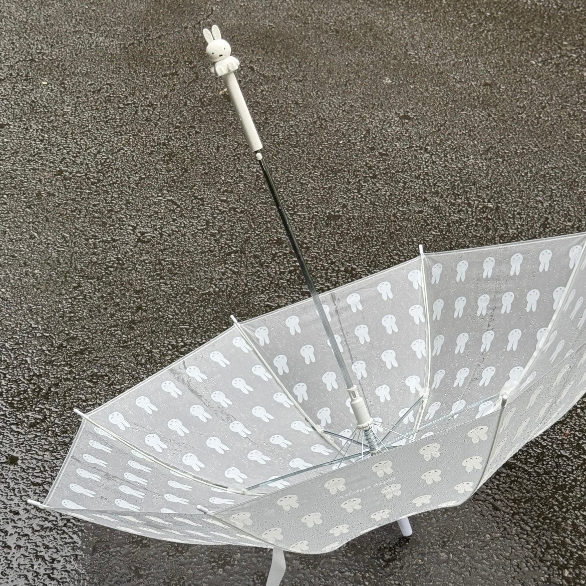 Miffy Frosted Transparent Long Handle Umbrella - ArtGalleryZen